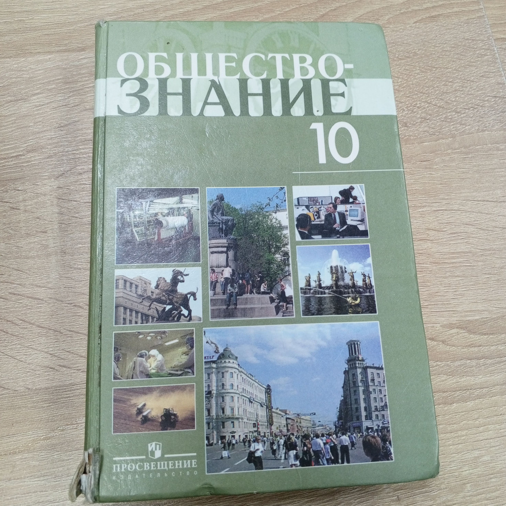 Обществознание 10 класс. Профильный уровень. Боголюбов Л. Н. | Боголюбов Л.  Н. - купить с доставкой по выгодным ценам в интернет-магазине OZON  (840497895)