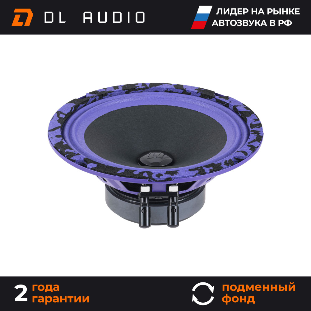 Колонки автомобильные 16 см DL Audio Piranha 165 V.2 пара #1