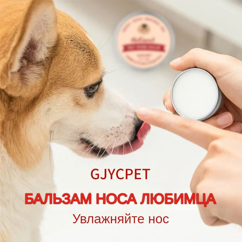 Кошки и собаки используют мазь для носа, чтобы предотвратить высыхание ...