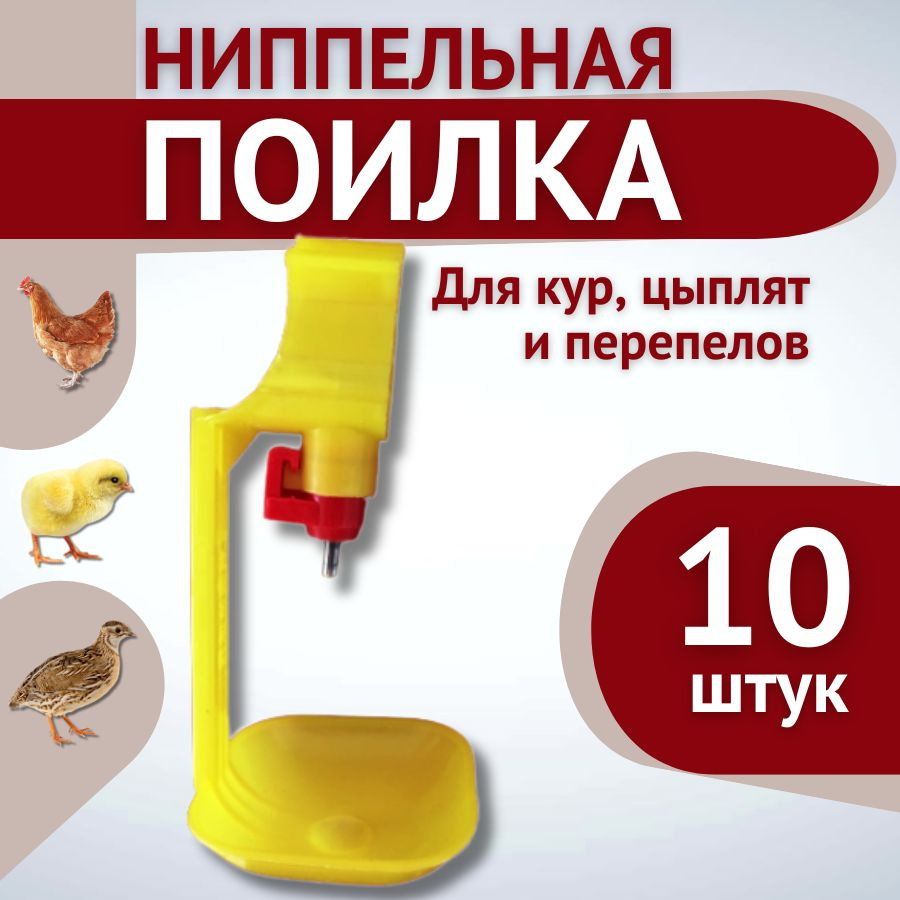 Поилки для цыплят своими руками: виды, изготовление