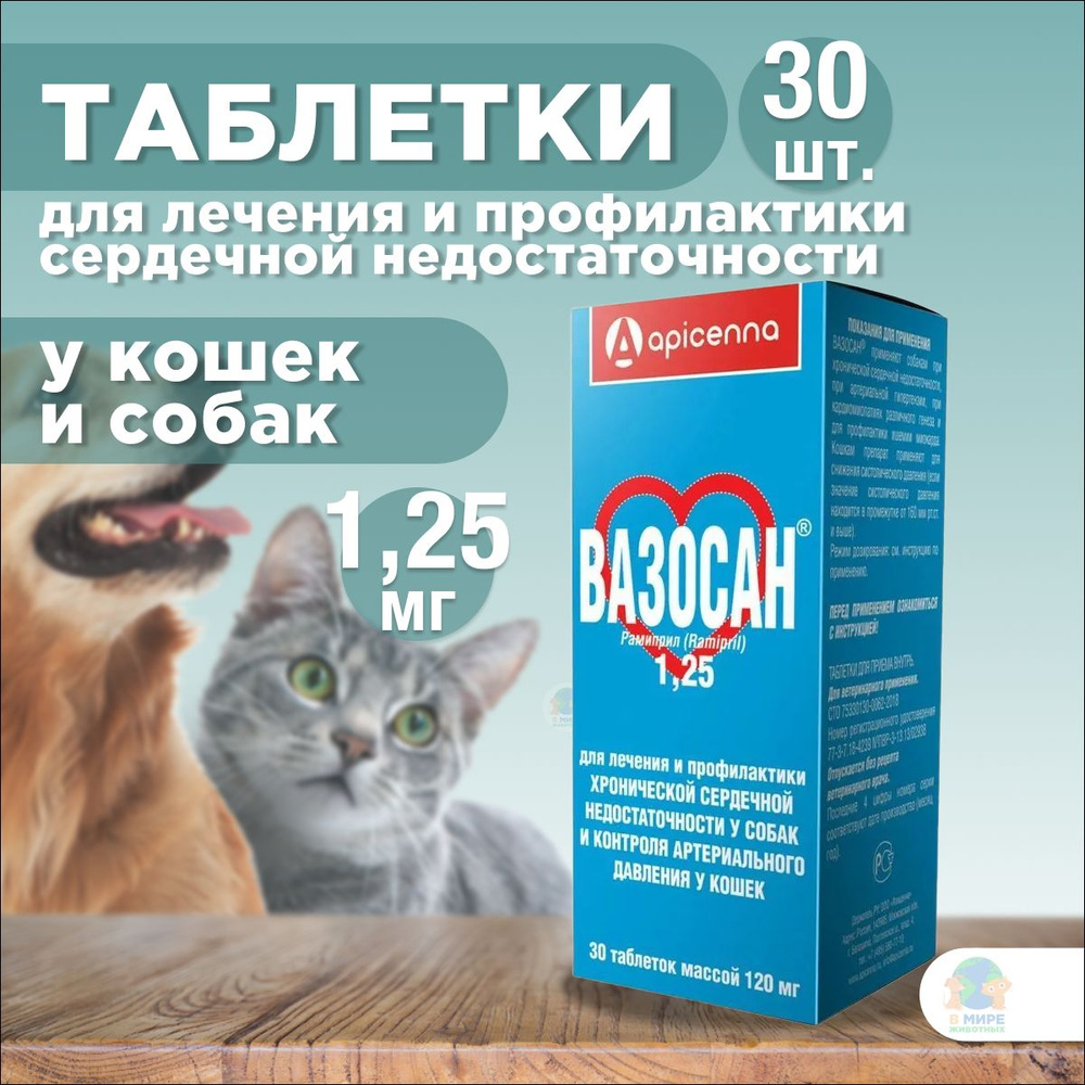 Таблетки от сердечной недостаточности Apicenna Вазосан 1,25мг для собак и  кошек, 30 таб. - купить с доставкой по выгодным ценам в интернет-магазине  OZON (1235655330)