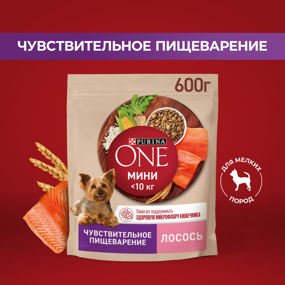 Сухой корм для собак Purina ONE МИНИ для мелких пород при чувствительном  пищеварении, с лососем и рисом, 600 г