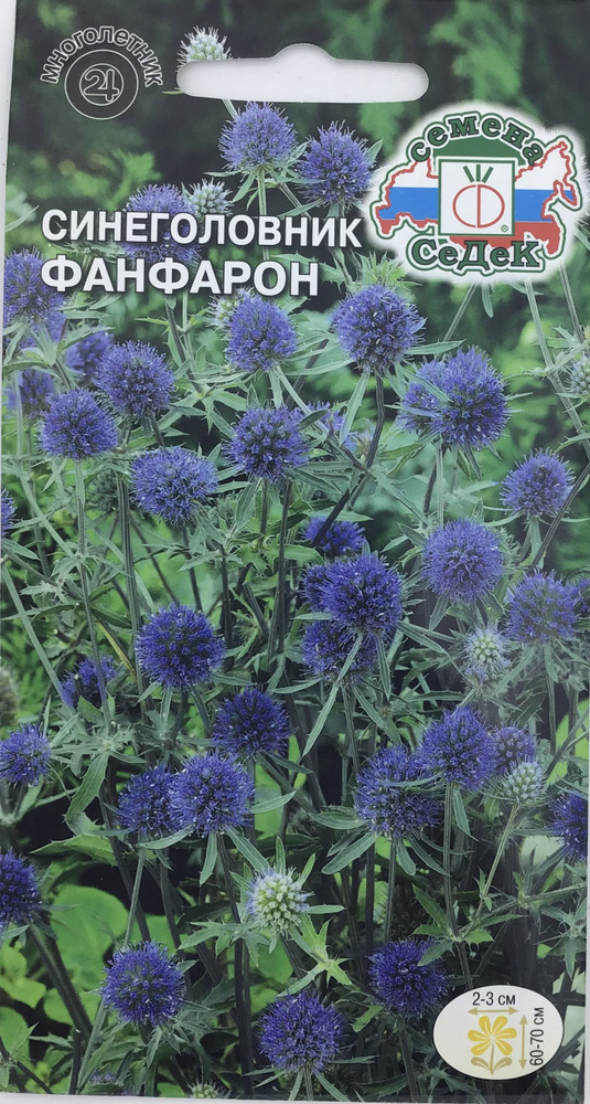 Семена СеДек Синеголовник Фанфарон - купить по выгодным ценам в ...
