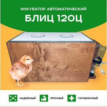 Инкубатор автоматический WQ-48