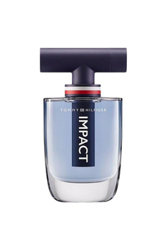 Tommy hilfiger eau de deals toilette men