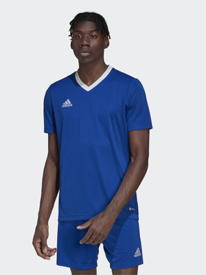 Adidas entrada 18 shorts online