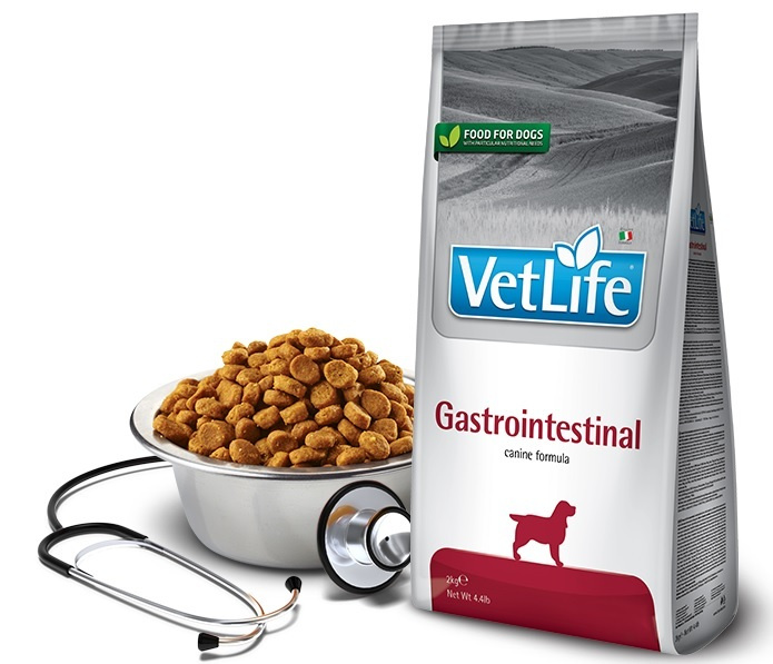 Vet Life Gastrointestinal корм для собак. Farmina vet Life Cat Struvite Management. Vet Life ULTRAHYPO корм для кошек. Farmina vet Life Gastrointestinal для кошек.