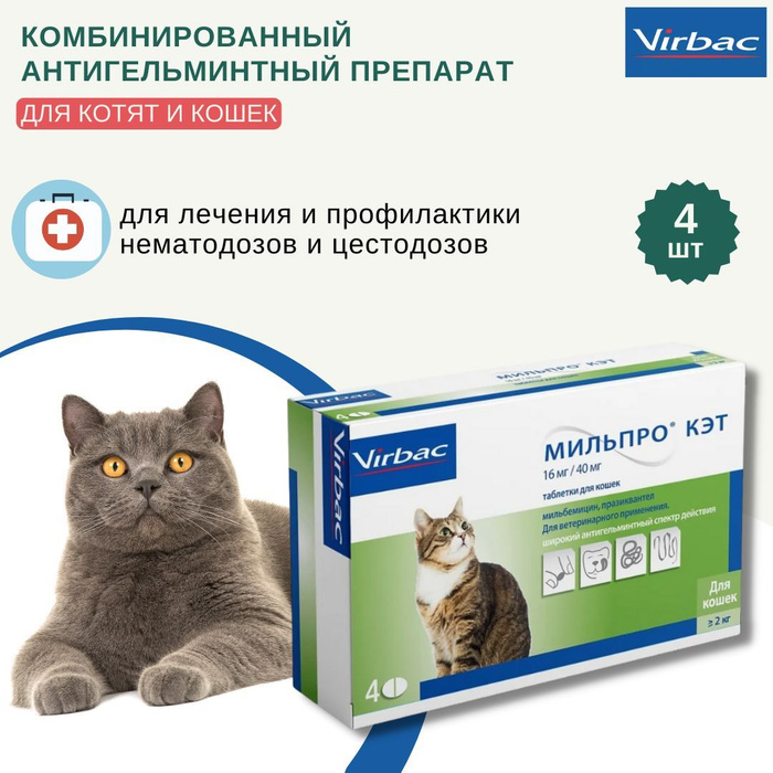 Мильпро кэт. Таблетка от паразитов для кошек цестал. Капсулы для похудения кето форм. Цестал таблетки для кошек. Таблетки от похудения.