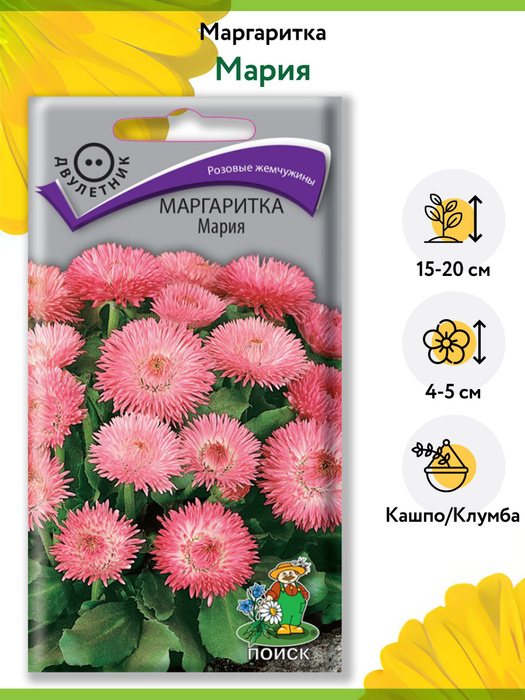 Маргаритки ПОИСК Агрохолдинг маргаритка многолетняя, маргаритки ...