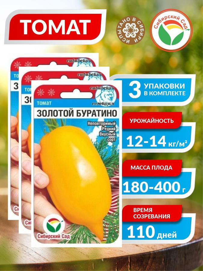 Томат золотой буратино отзывы фото урожайность