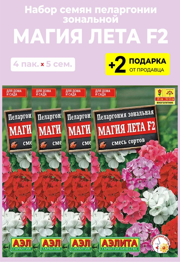 пеларгония рафаэлла f1 алая. магия лета отзывы. пеларгония в упаковке для пирожного. магия лета отзывы. магия лета отзывы.