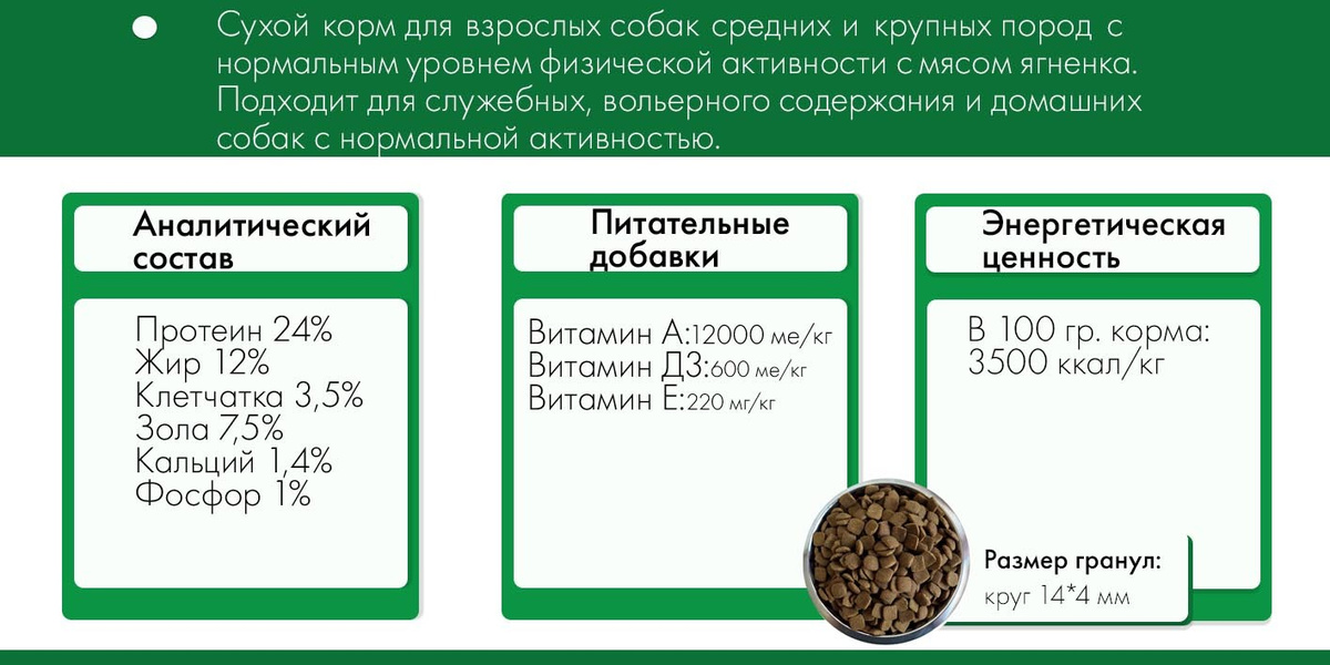 Текстовое описание изображения