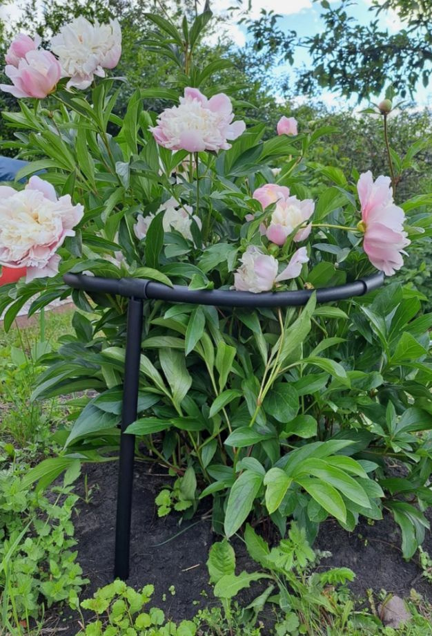 Опора для растений, пионов, кустодержатель для цветов, подпорка для ...