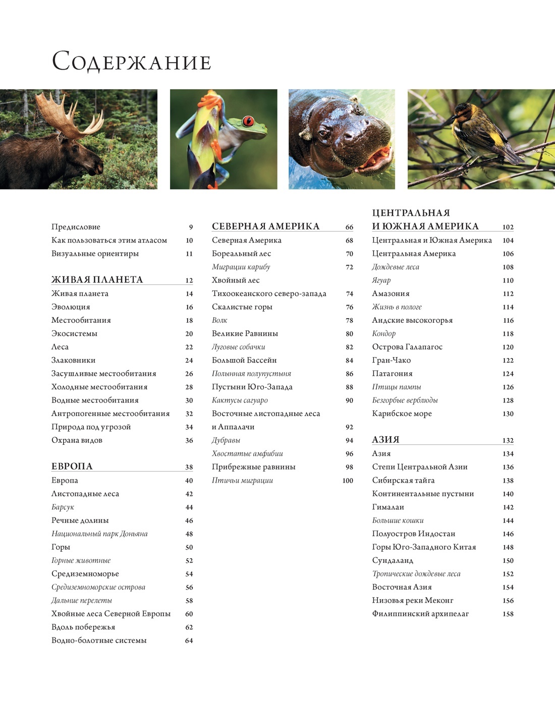 Животный мир. Иллюстрированный атлас | Animal World: Illustrated Atlas - Ozon image 1