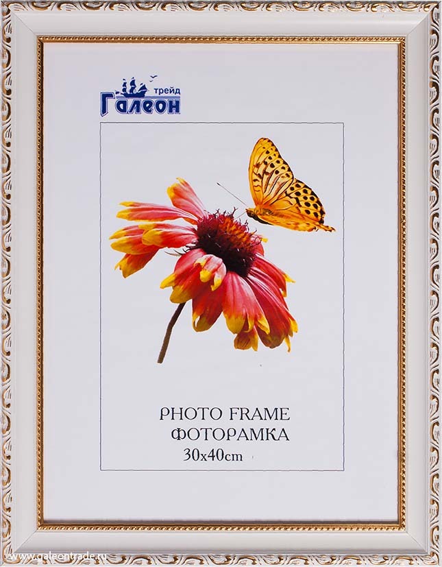 Фоторамка пластиковая, 30 х 40 см, белая с золотом Фоторамка пластиковая, 30 х 40 см, белая с золотом
