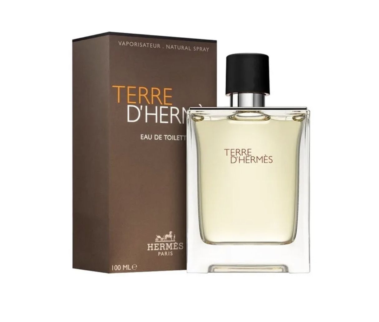 Hermes Terre D'Hermes Pour Homme Туалетная вода 100 мл. купить на