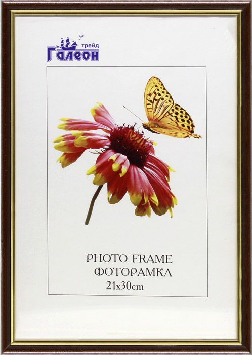 Фоторамка пластиковая 21 х 30 см, коричневая