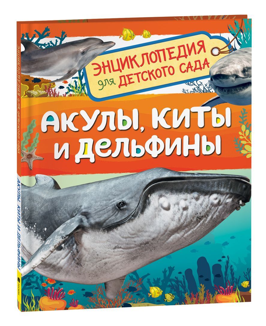 Техника. Энциклопедия для детского сада. Познавательная книга для детей от  4 лет про строительные машины, транспорт, военную технику, бытовые приборы,  гаджеты | Клюшник Л. В. - купить с доставкой по выгодным ценам