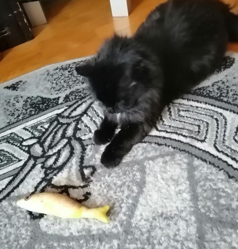 Игрушки для кошек и котов в виде рыбы с валерианой и мятой, NLAB ...