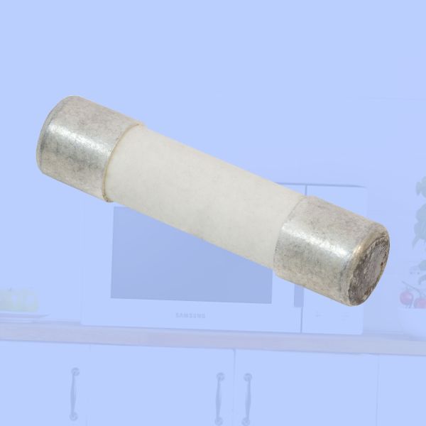 Предохранитель СВЧ/микроволновки 10А 250V 2шт, керамический - купить с ...