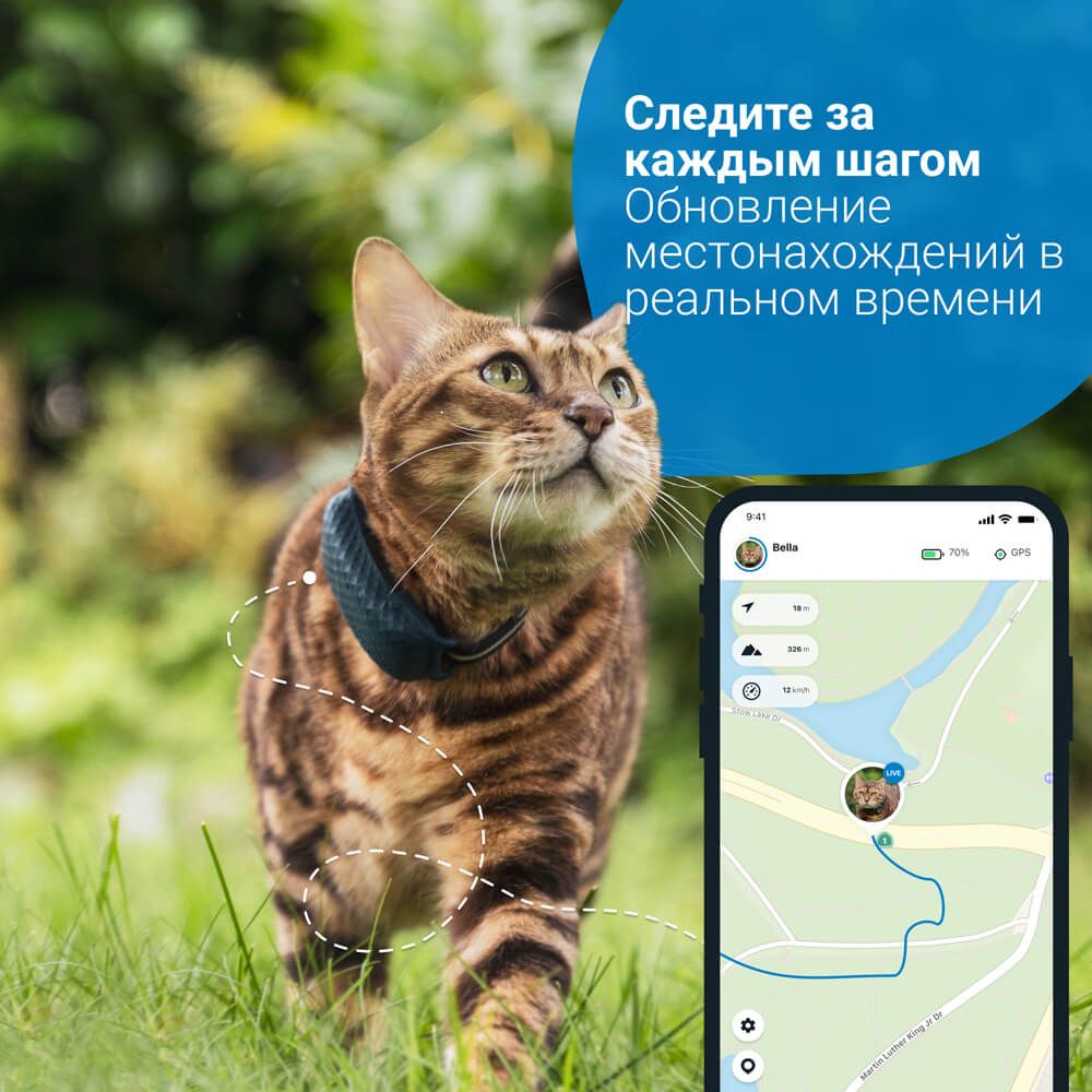 Gps tractive cat fashion