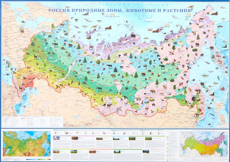 Физическая карта с природными зонами