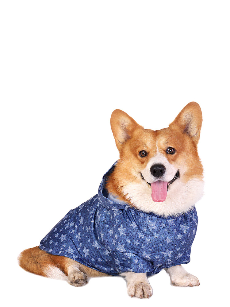 Дождевик для собаки Монморанси Корги звезды, размер M. Одежда для корги. -  купить с доставкой по выгодным ценам в интернет-магазине OZON (198040030)