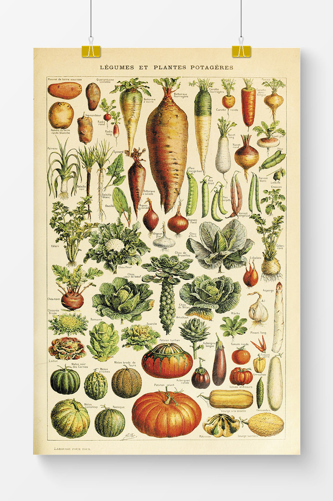 Винтажный постер на кухню Postermarkt Овощи, 40х50 см, в тубусе #1