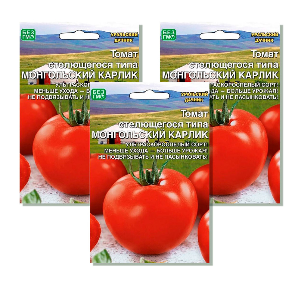 Семена томат монгольский карлик (20шт)