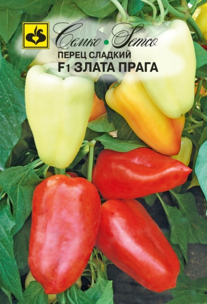 Злато прага перец описание сорта фото отзывы