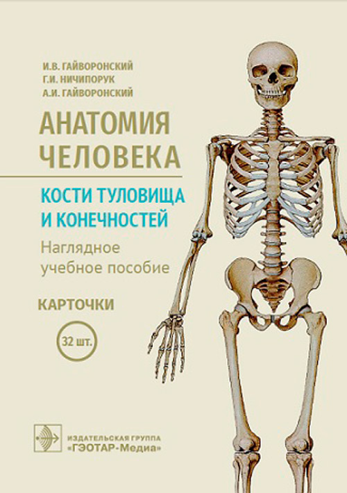 Карточки Анатомия человека. Кости туловища и конечностей. Наглядное учебное пособие для студентов медицинских #1