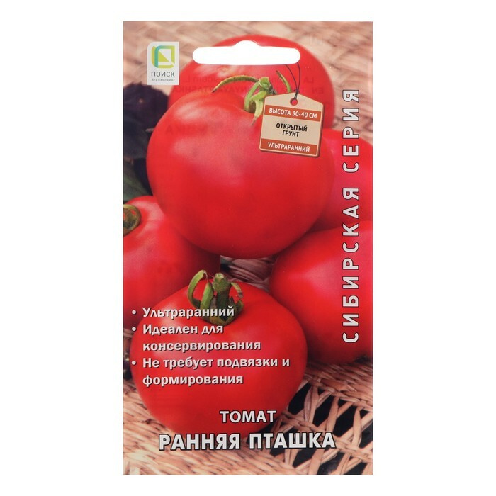 томат искандер