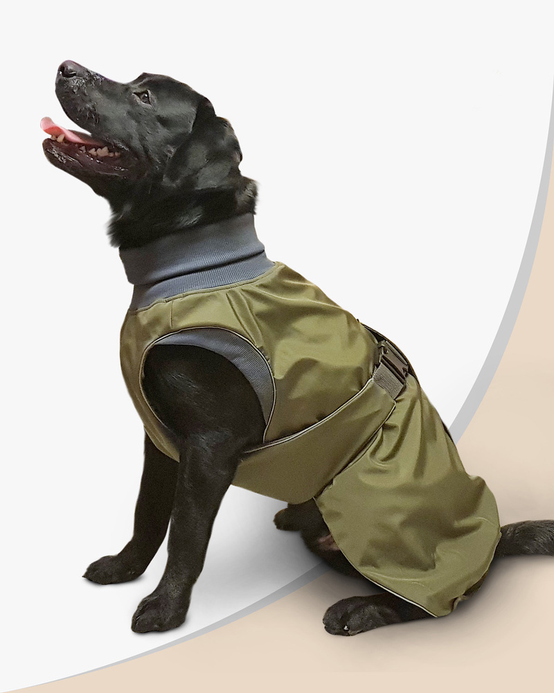 Одежда для собак своими руками Dress for dogs | VK