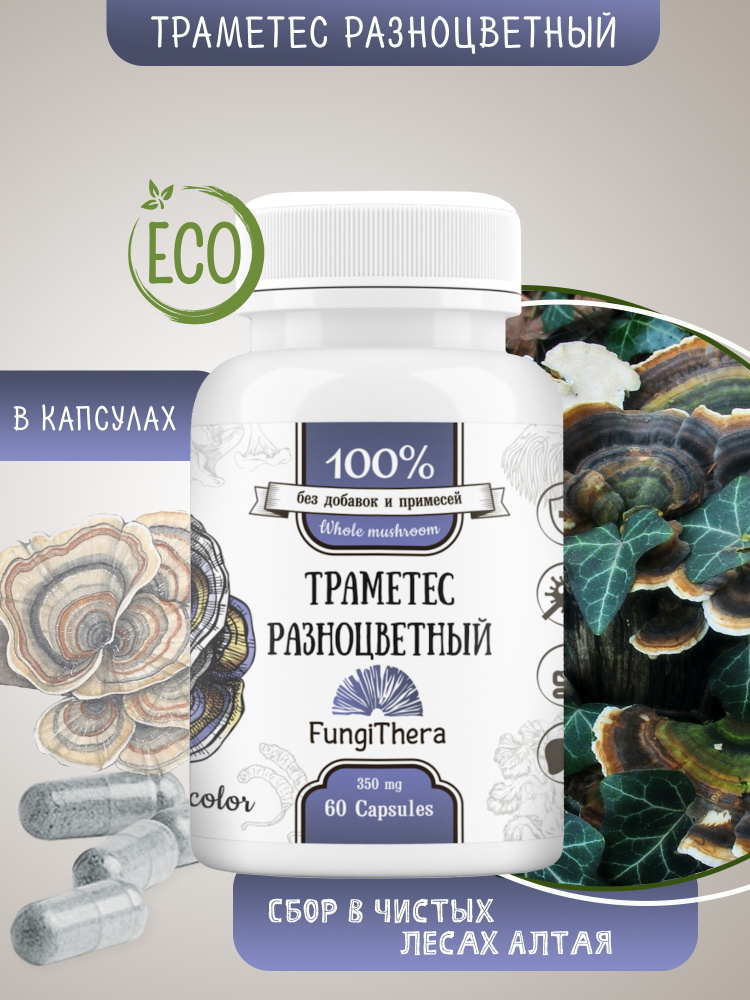 Траметес разноцветный гриб 60 капсул. turkey tail. Лечебный гриб ...