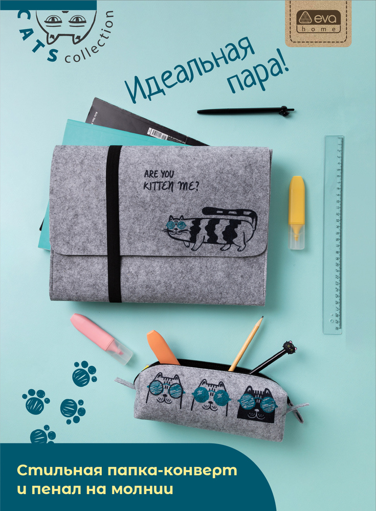 Канцелярский набор CATS с папкой и пеналом для школы офиса - купить с доставкой по выгодным ценам в интернет-магазине OZON (572015632)