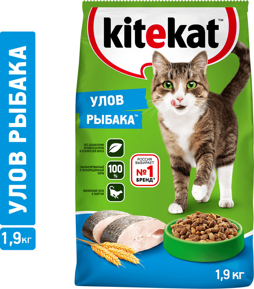 Сухой корм для кошек Kitekat Улов рыбака, с рыбой, 1,9 кг - купить с  доставкой по выгодным ценам в интернет-магазине OZON (34502541)