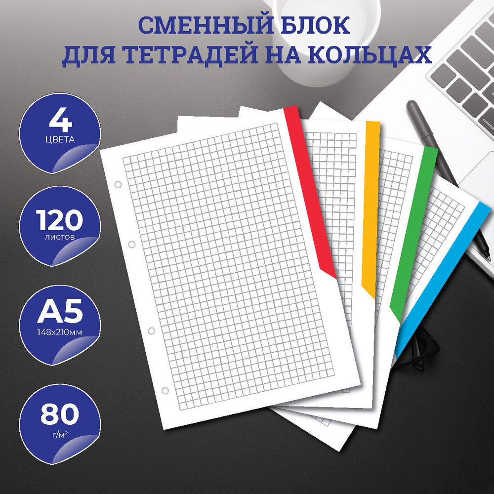 Сменный блок для тетради на кольцах А5, 120 листов, клетка, 80 г/м2, 4  цвета, цветной обрез, перфорация на 4 отверстия - купить с доставкой по  выгодным ценам в интернет-магазине OZON (658272160)