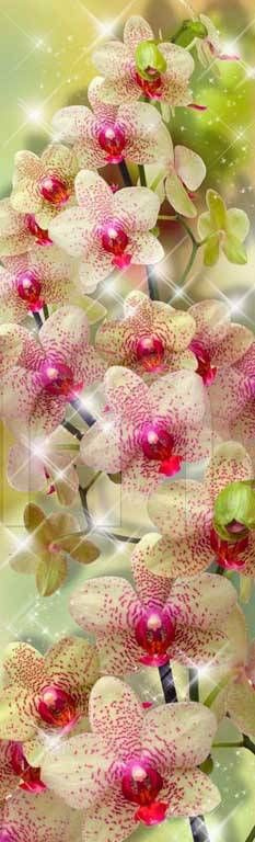 Фотообои на стену бесшовные. Master Fresok. "Узкие цветочные" В260 см х ...