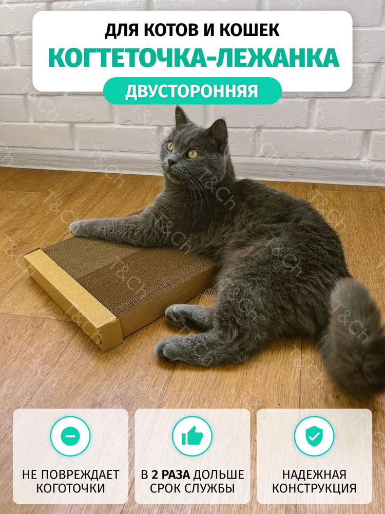 Купить когтеточку для кошек и котов | Зоомагазин aikimaster.ru
