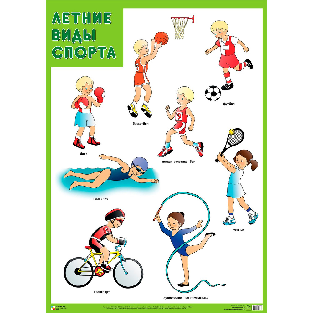 Плакат. Летние виды спорта А2