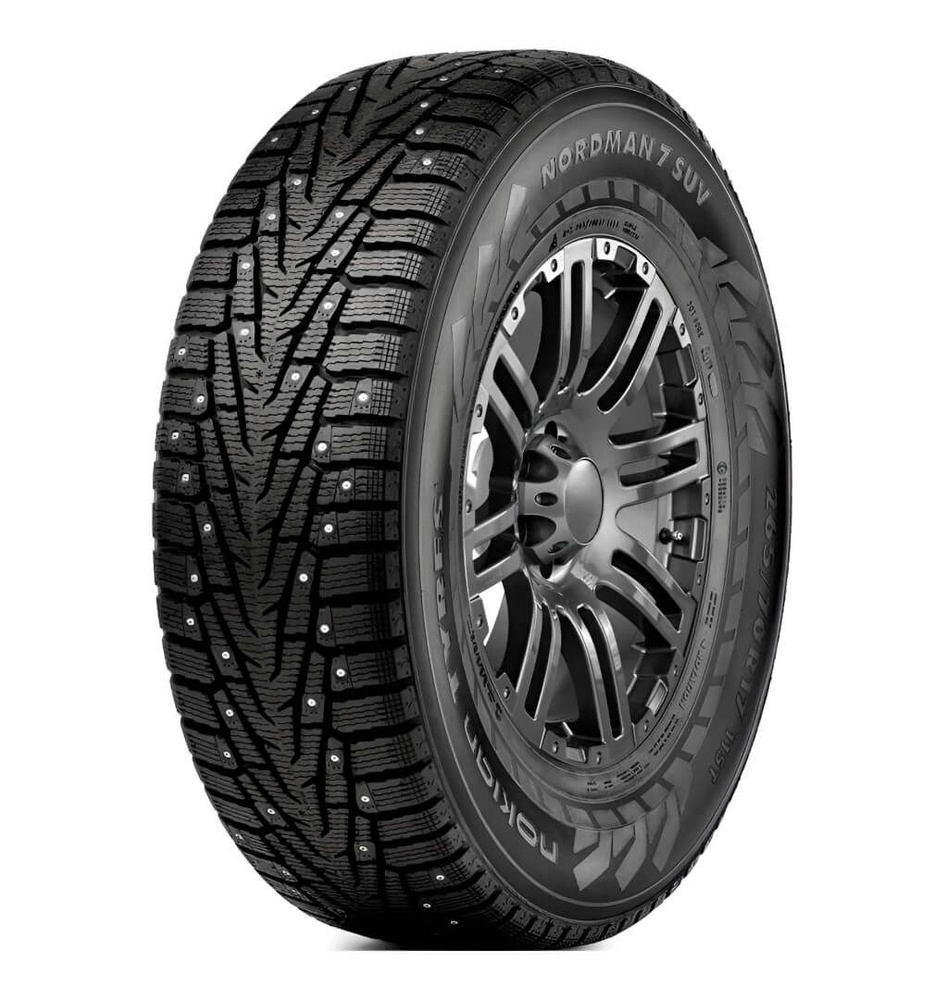 Шины для внедорожника Ikon Tyres 215/65 16 Зима Шипованные - купить в  интернет-магазине OZON с доставкой (717869751)