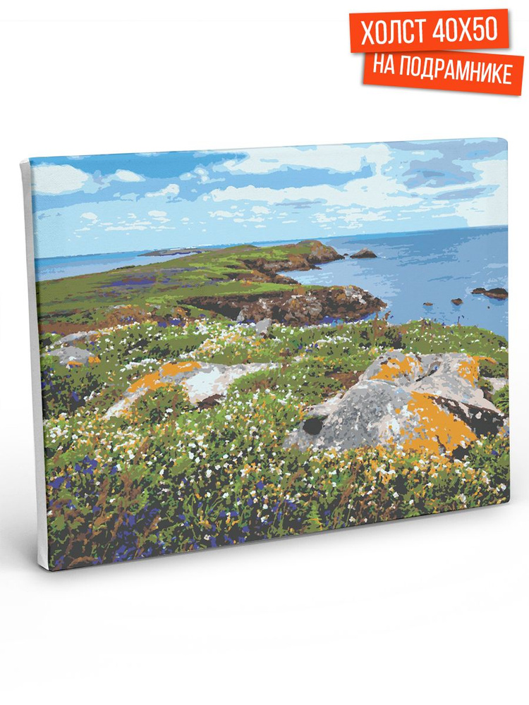 Картина по номерам Hobruk "Лужайка в Исландии", на холсте на подрамнике 50х40, раскраска по номерам, #1