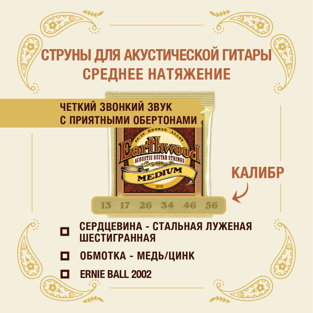 ERNIE BALL 2002 Earthwood 80/20 Bronze Medium 13-56 Струны для акустической гитары  #1