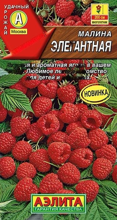 Семена Малина Элегантная (20 семян) - Аэлита #1