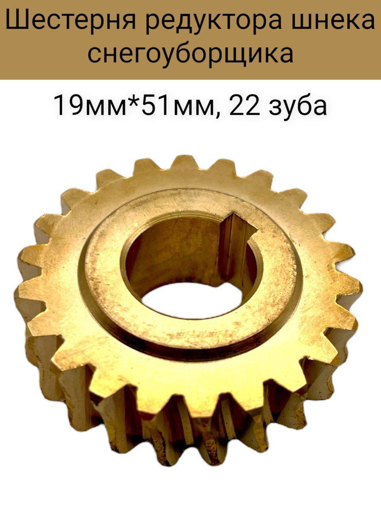 Шестерня редуктора шнека снегоуборщика 19мм*51мм, 22 зуба #1