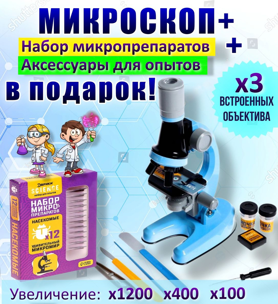 Микроскоп детский Юный ботаник + Аксессуары+ 12 Микропрепаратов В ПОДАРОК,  кратность х100, х400, х1200, подсветка - купить с доставкой по выгодным  ценам в интернет-магазине OZON (842757439)