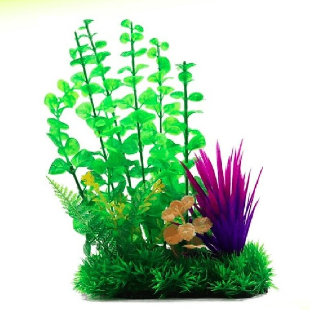 В чем преимущества живых растений для аквариума?
