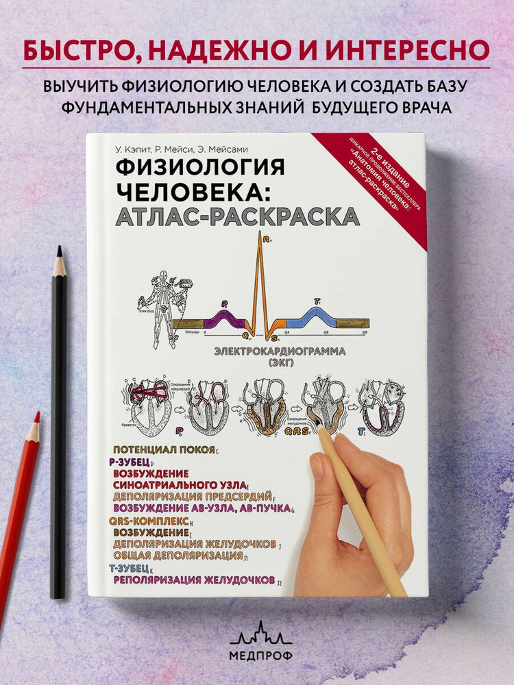 Картина по номерам на холсте с подрамником ЖпН Актер Роберт Паттинсон, Раскраска, 40x60 см