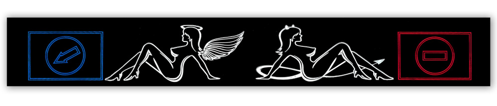 Брызговик Газель ДЛИННОМЕР 200*30 (рисунок АНГЕЛ/ДЕМОН) - Алекс-Авто ...