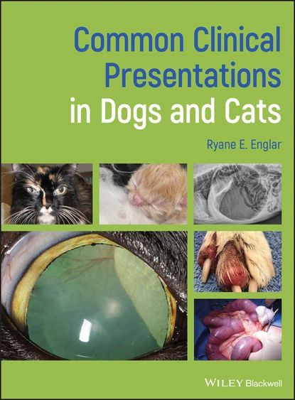 Common Clinical Presentations in Dogs and Cats | Englar Ryane E. | Электронная книга #1